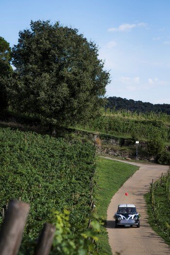 Matrimonio in Castello tra le vigne